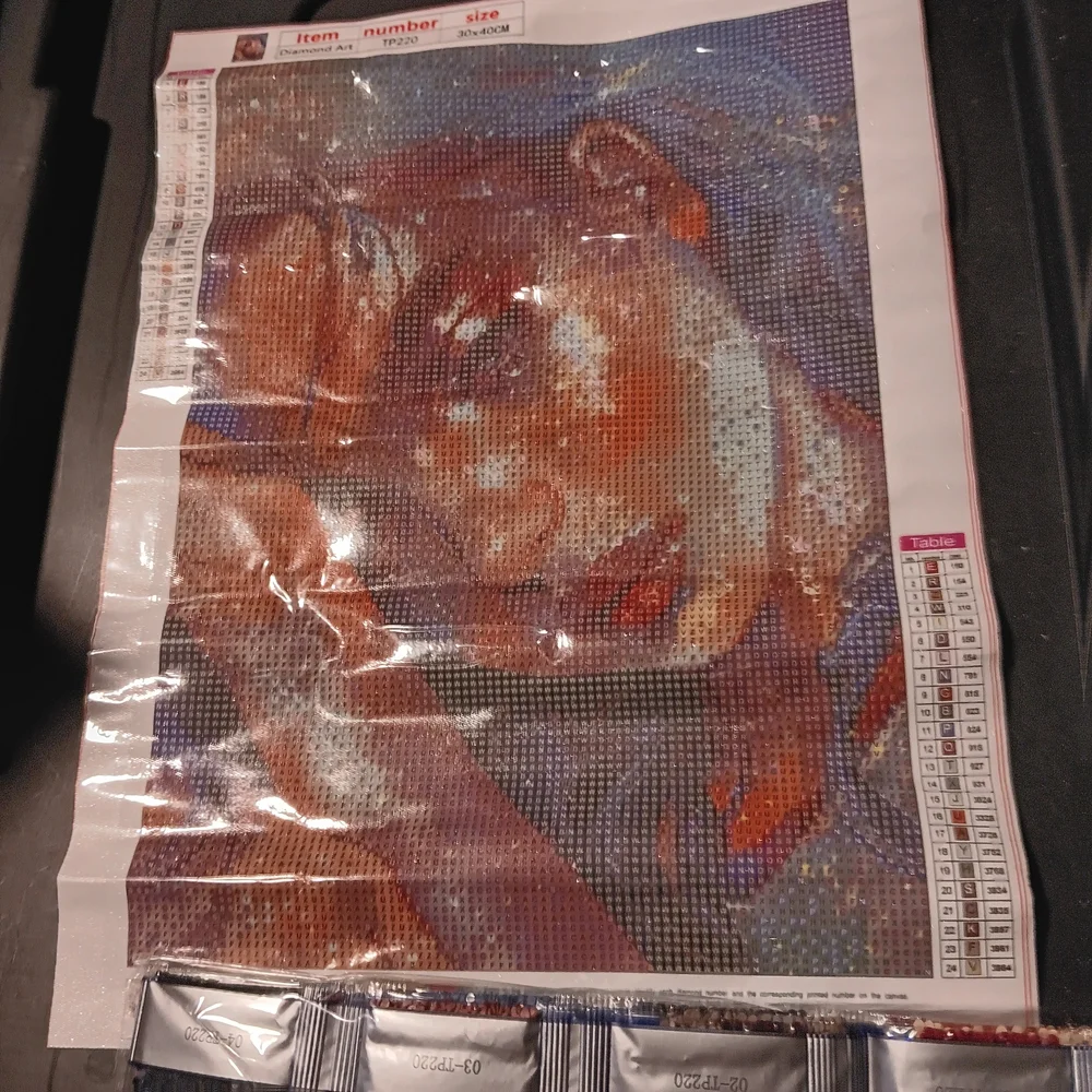 Colorful Woman Diamond Painting Kit 30x40 - Picture 4 of 5